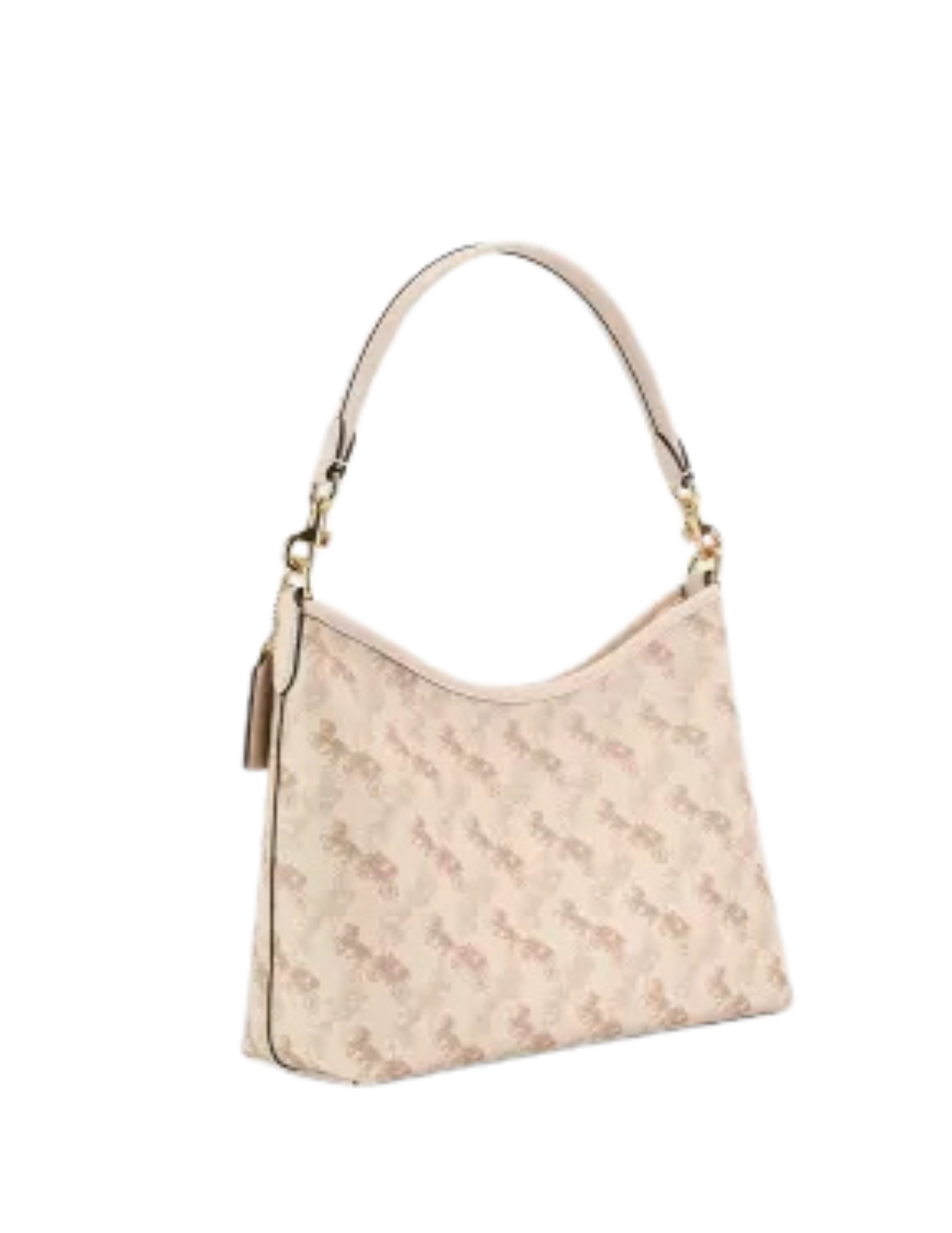 Coach Crossbody Bag