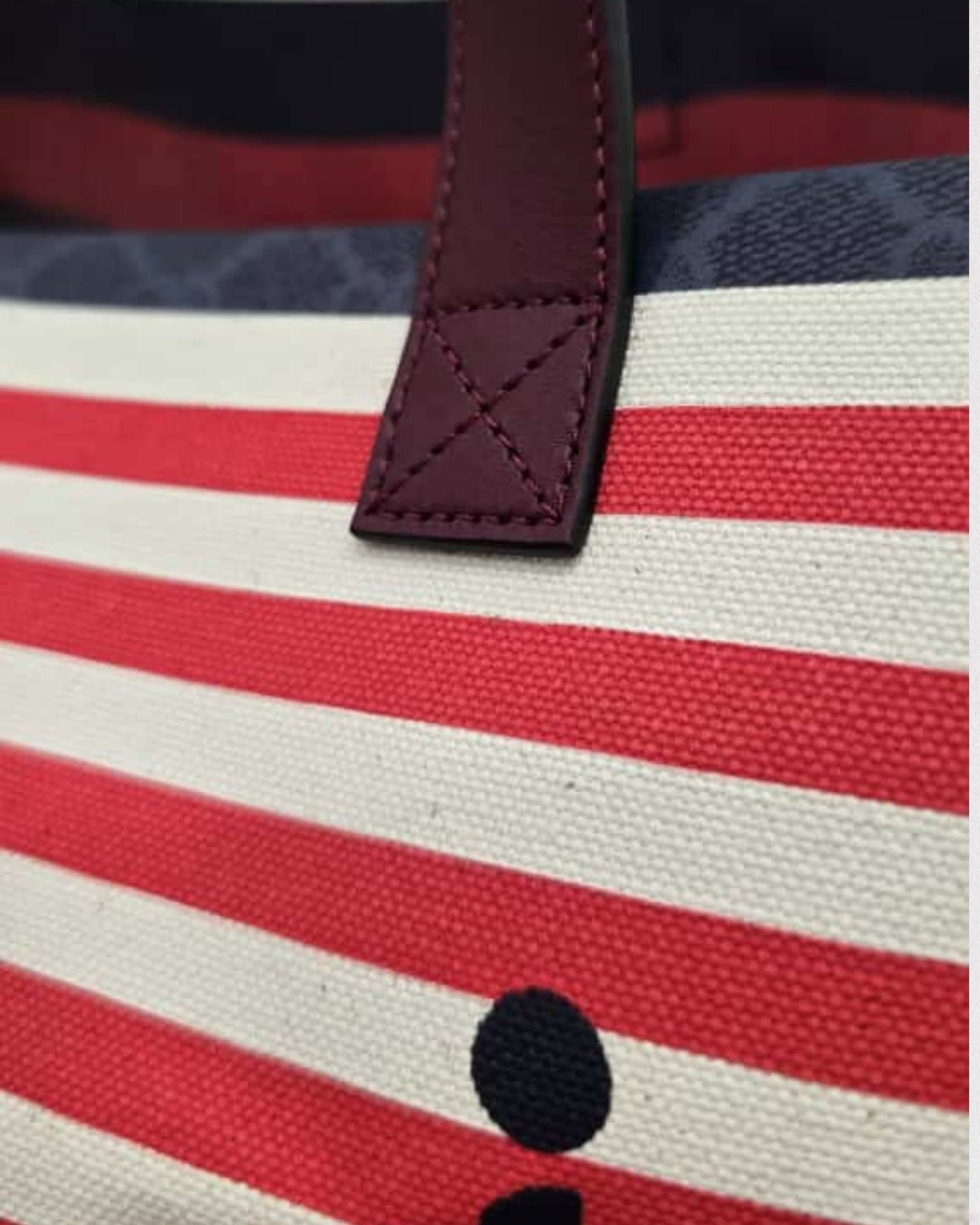 Gucci Capri Tote Bag