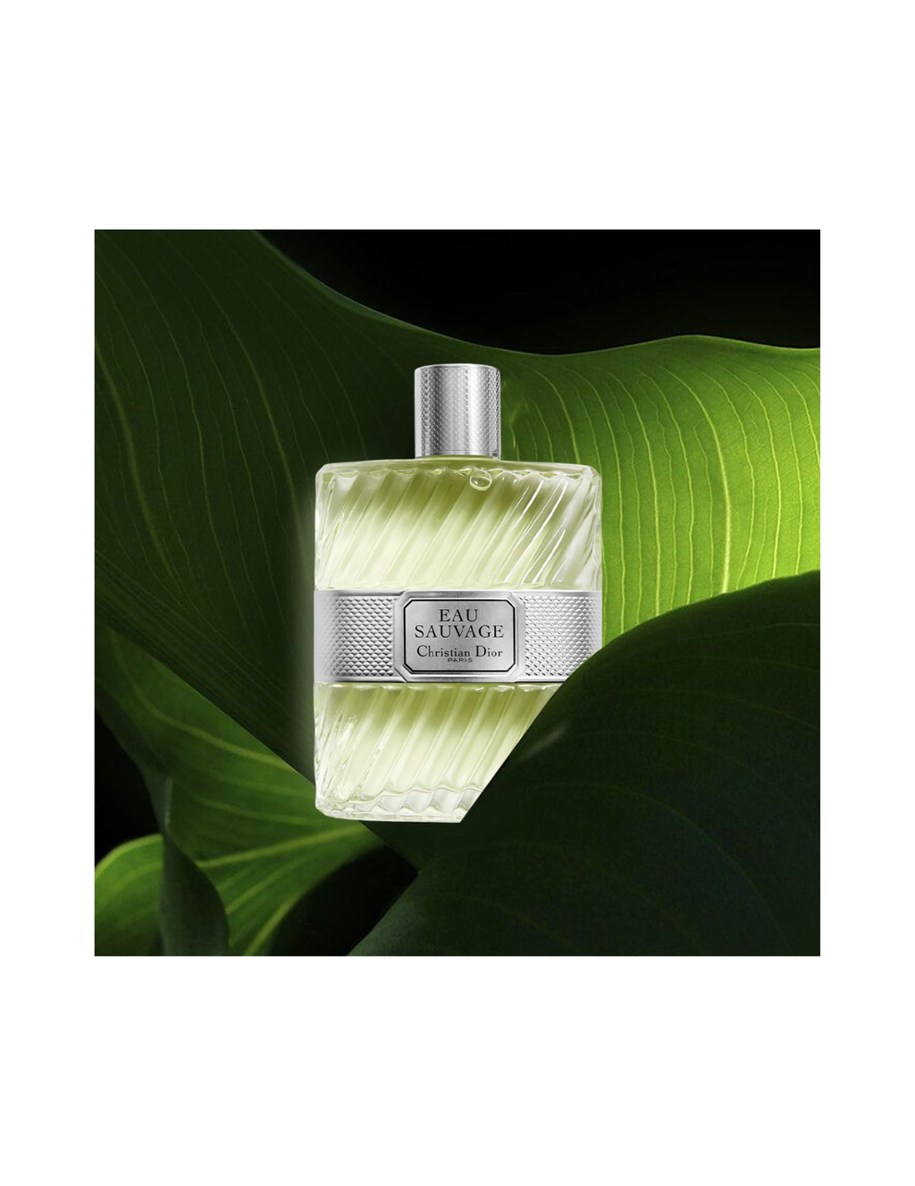 Dior Eau Sauvage Eau de Toilette 100ml – Men