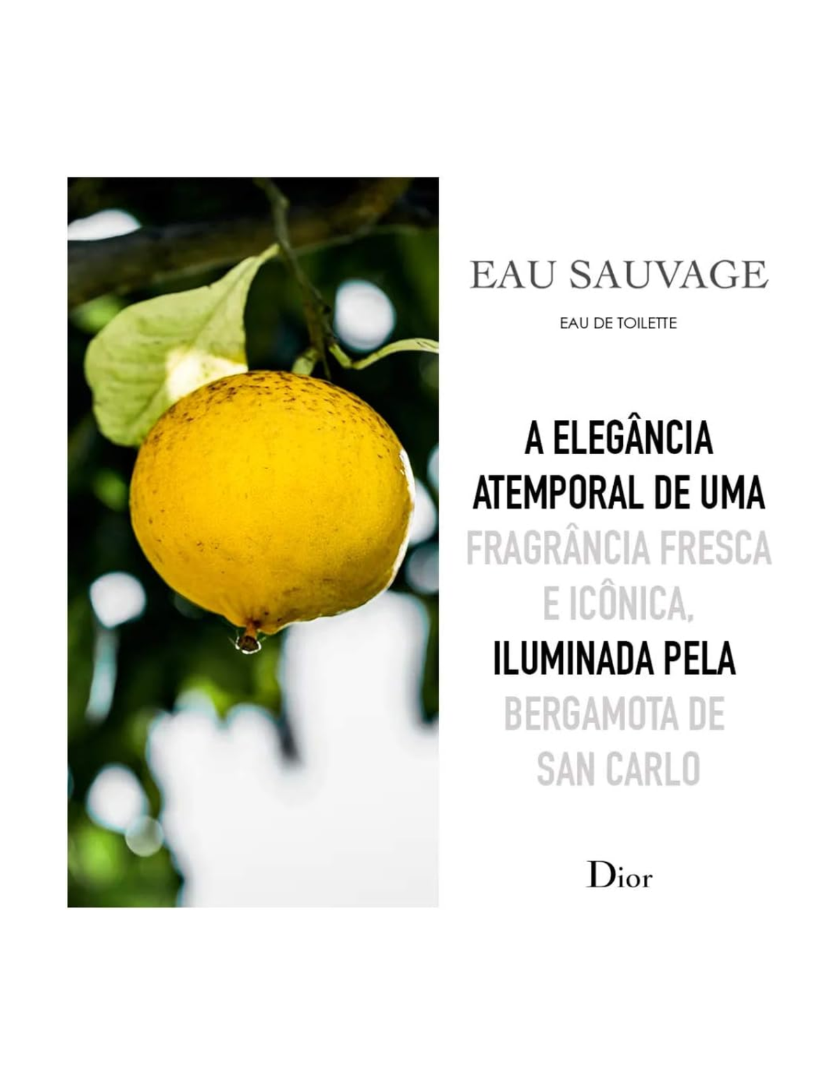 Dior Eau Sauvage Eau de Toilette 100ml – Men