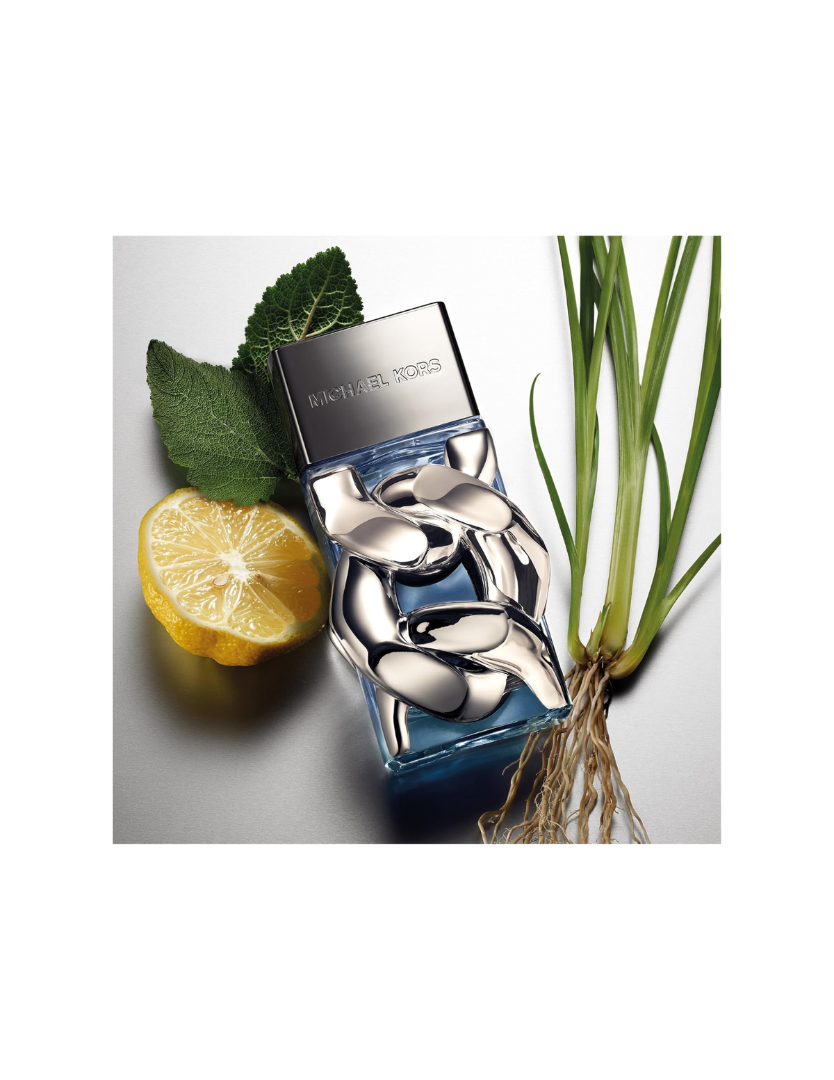 Michael Kors Eau de Parfum 100ml – Men  Pour Homme